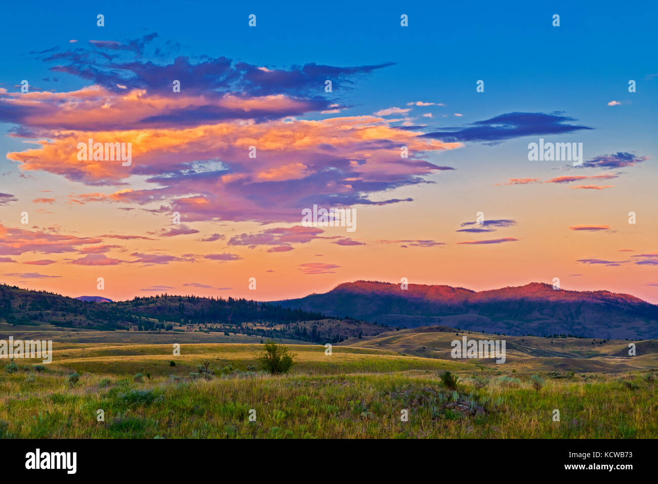 Tramonto sulle praterie, Thompson valley, Kamloops, British Columbia, Canada Foto Stock