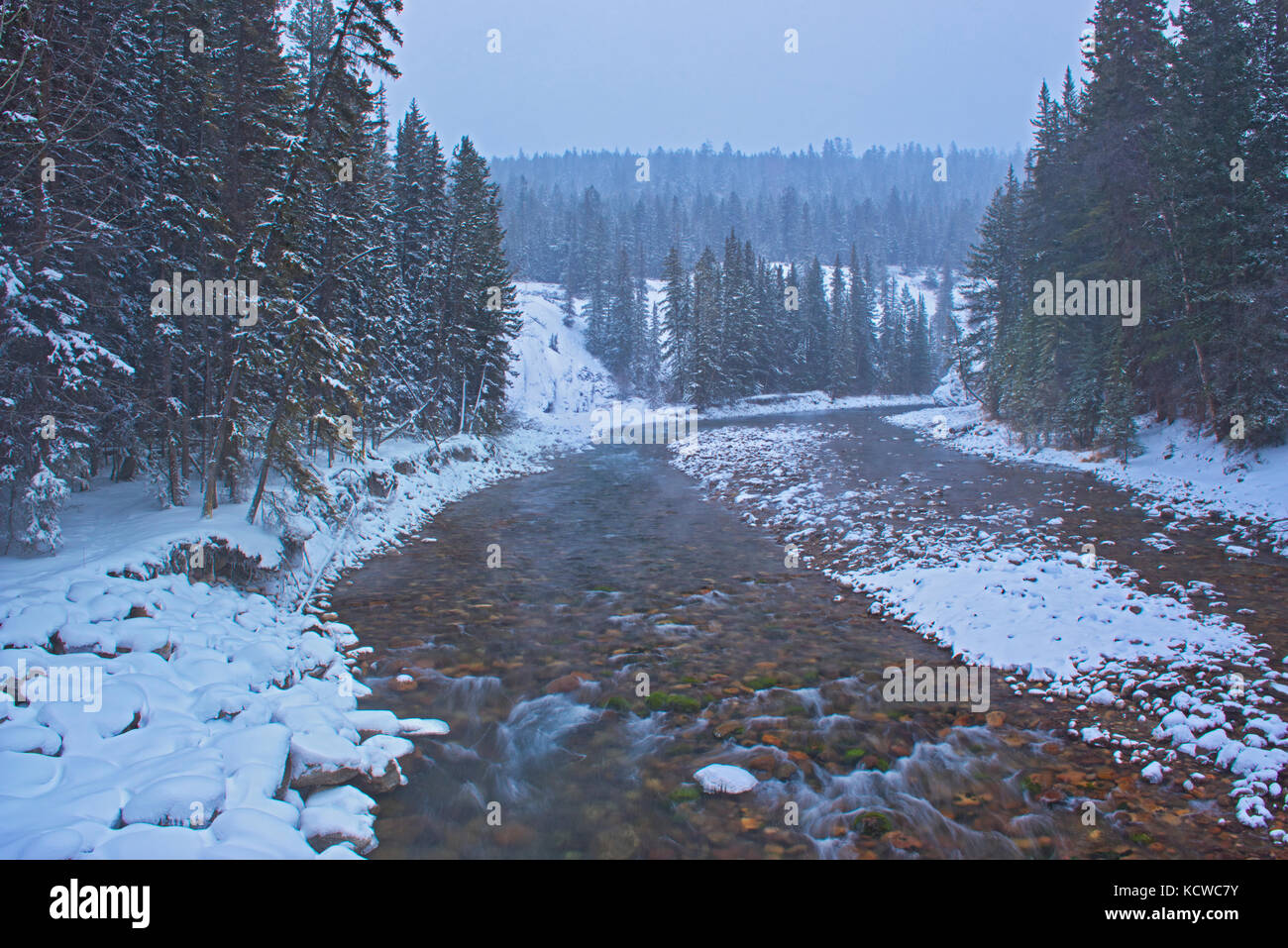 Fiume maligne, Jasper National Park, Alberta, Canada Foto Stock