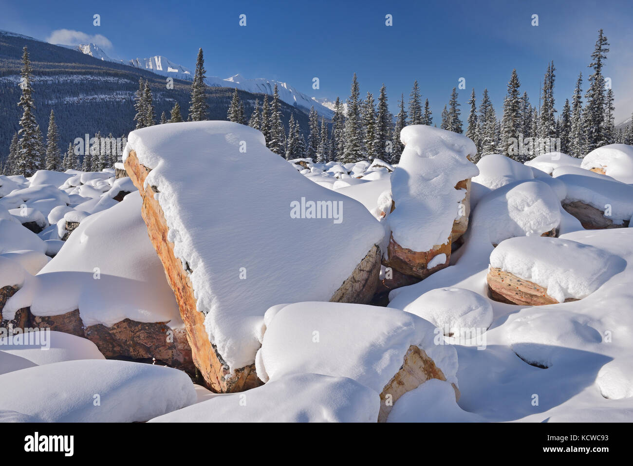 Quarzite massi lungo la Icefields Parkway. Canadian Rocky Mountains , Jasper National Park, Alberta, Canada Foto Stock