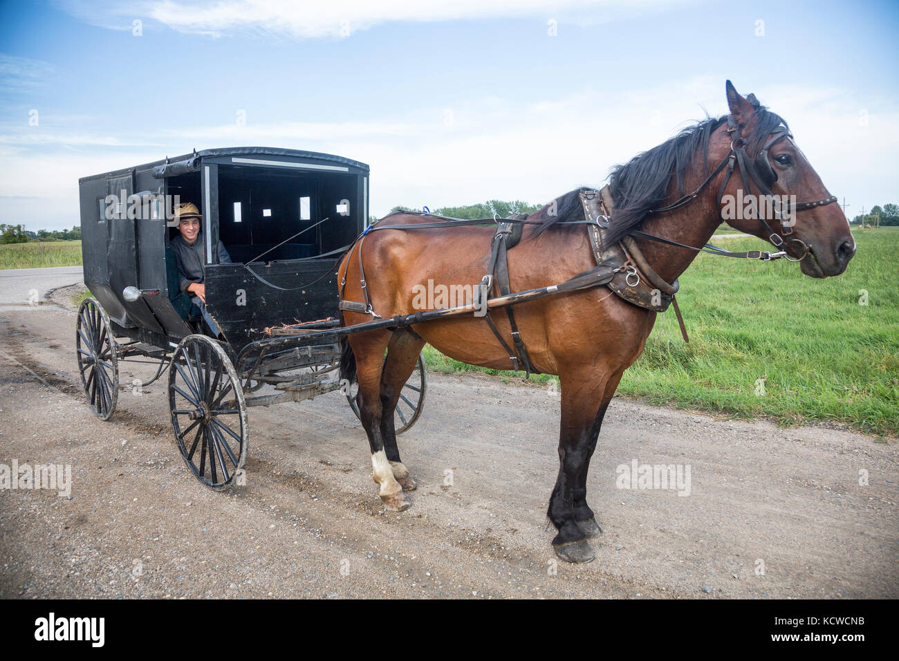 Lad amish e cavallo buggy, minnesota, Stati Uniti d'America Foto Stock