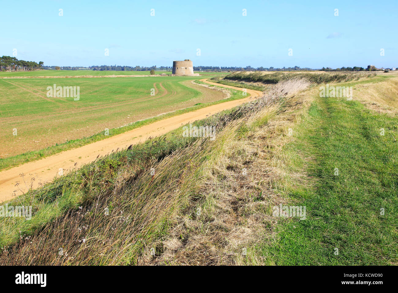 Difesa Flood sea wall dyke vista nord alla strada di ciottoli, a Alderton, Suffolk, Inghilterra, Regno Unito Foto Stock