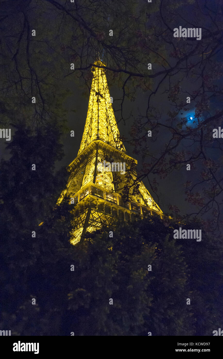 Vista della Torre Eiffel dal di sotto, Parigi, Francia, Europa Foto Stock