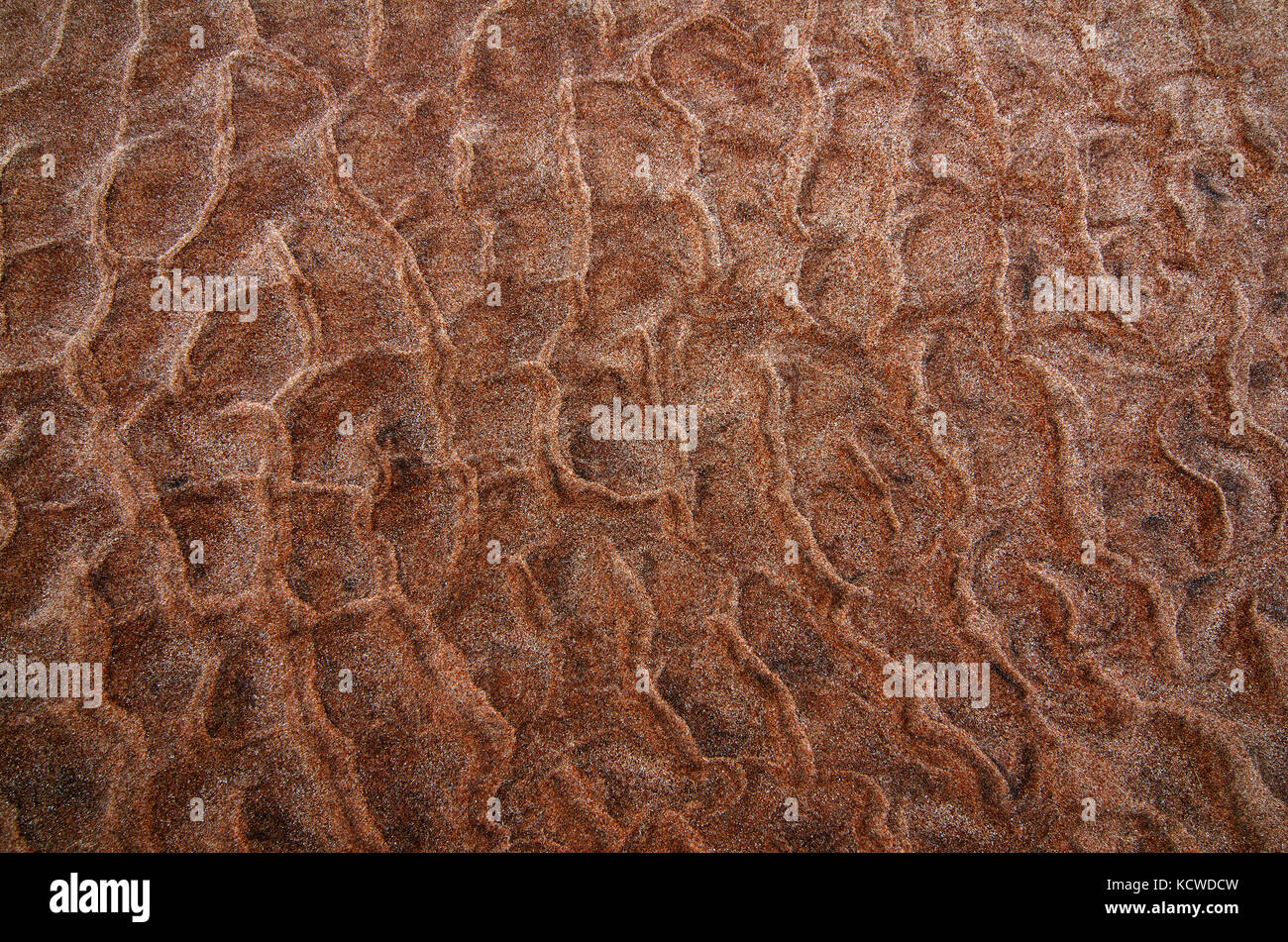 La sabbia, texture, spiaggia, Prince Edward Island, Canada Foto Stock