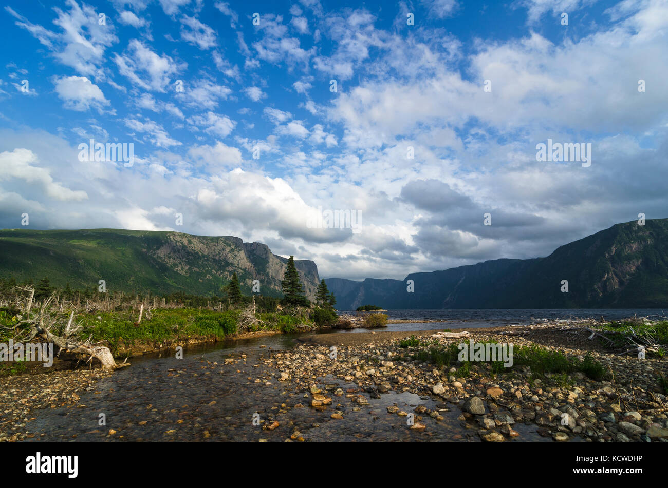 Aderenza harbour trail, western brook pond, Parco Nazionale Gros Morne, sito patrimonio mondiale dell'unesco, Terranova, Canada Foto Stock