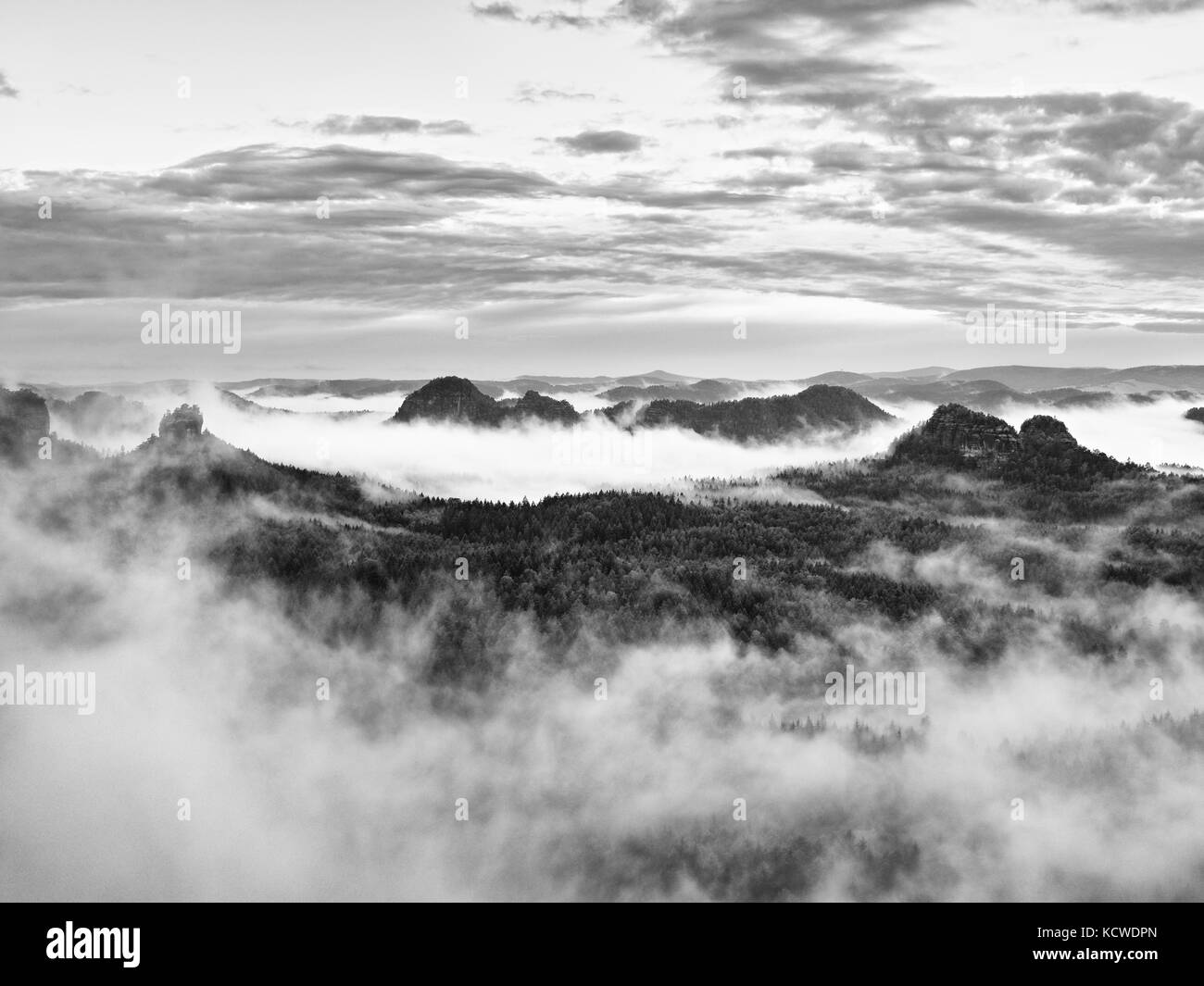 Foschia mattutina dopo heavy rain. vista nella lunga e profonda valle piena di primavera fresca nebbia. paesaggio caduta entro lo spuntar del giorno dopo la notte piovosa. nero e di Pentecoste Foto Stock
