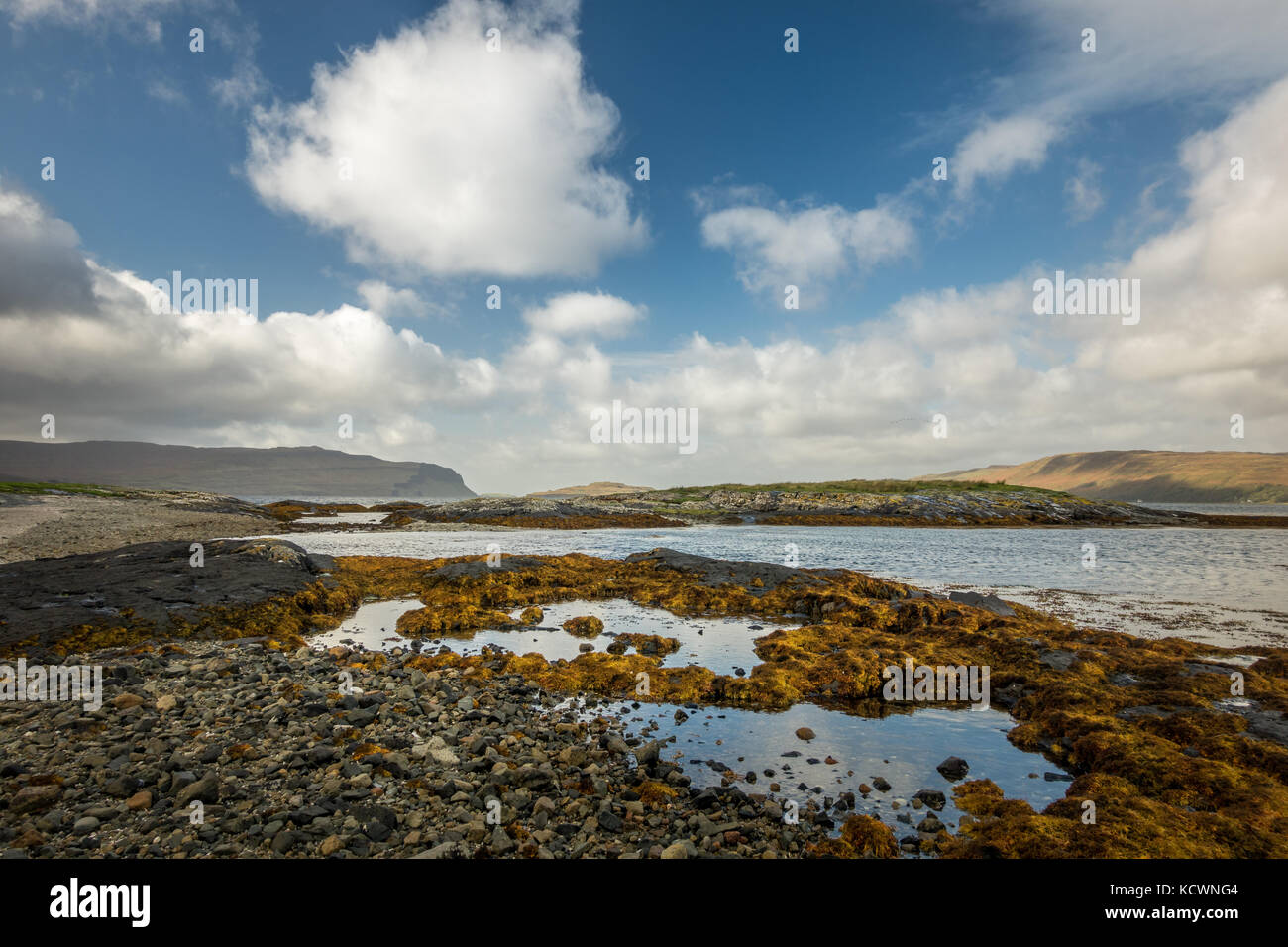 Sulle sponde del Loch Na Keal, Isle of Mull, Scozia Foto Stock