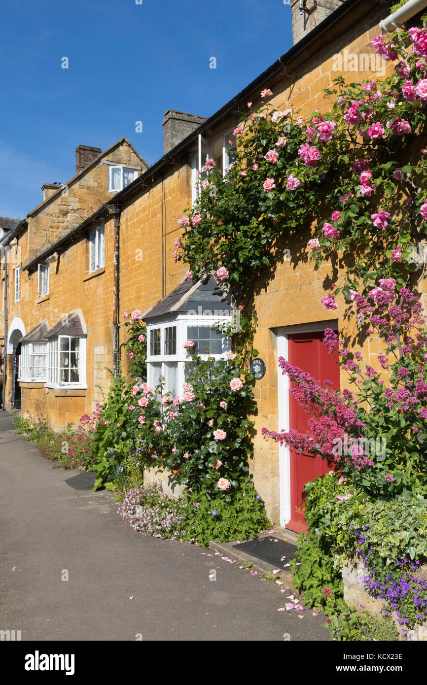 Rose facciata coperta di Cotswold cottage in pietra lungo High Street, Blockley, Cotswolds, Gloucestershire, England, Regno Unito, Europa Foto Stock