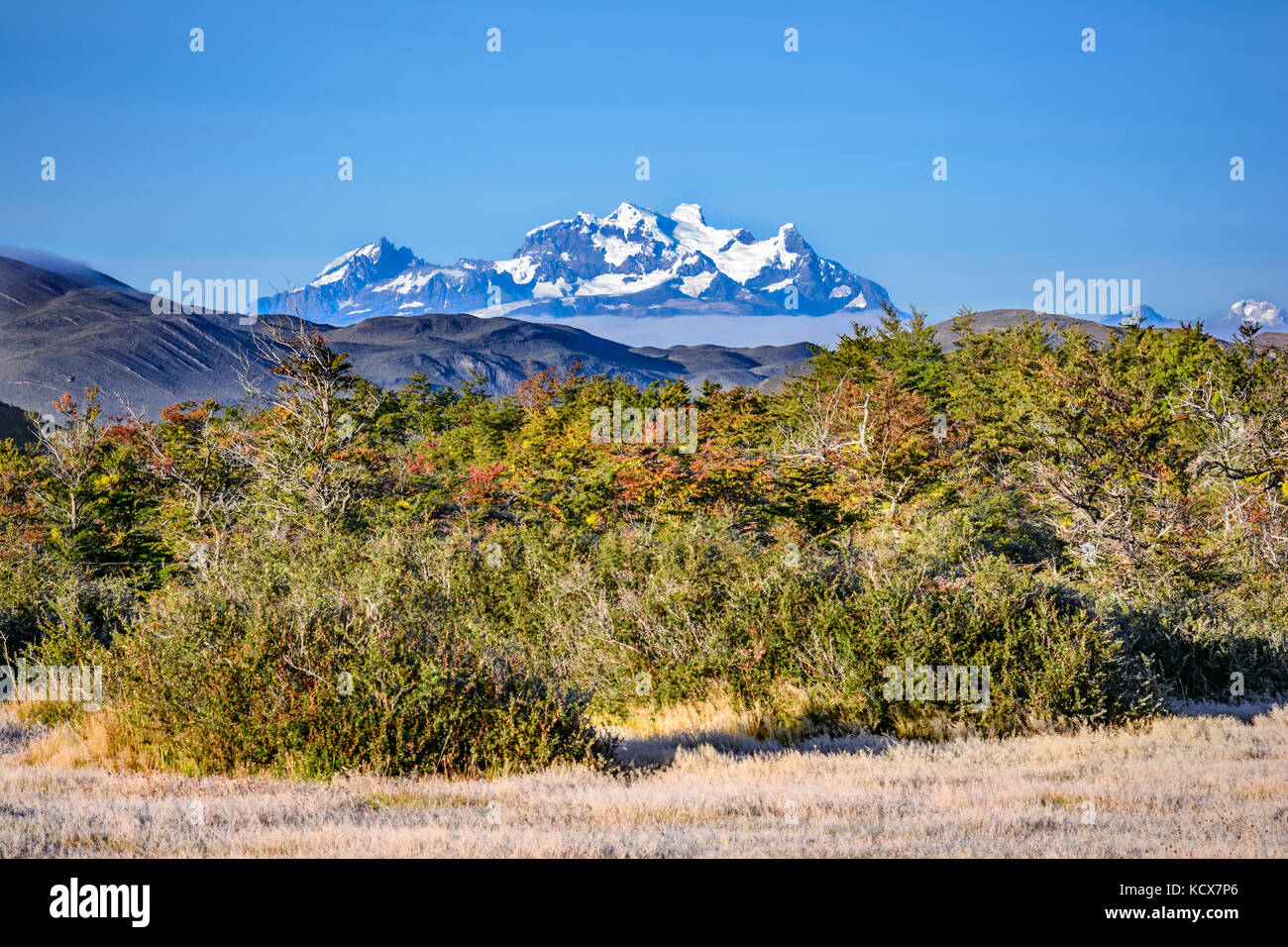 Torres del Paine, Patagonia, Cile - Patagonia meridionale del campo di ghiaccio, magellanes regione del sud america Foto Stock