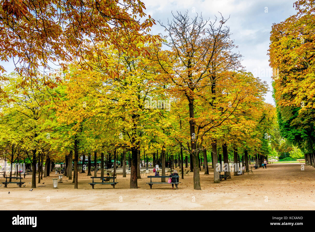 La trasformazione delle foglie in colori autunnali nei Giardini di Lussemburgo a Parigi, Francia Foto Stock