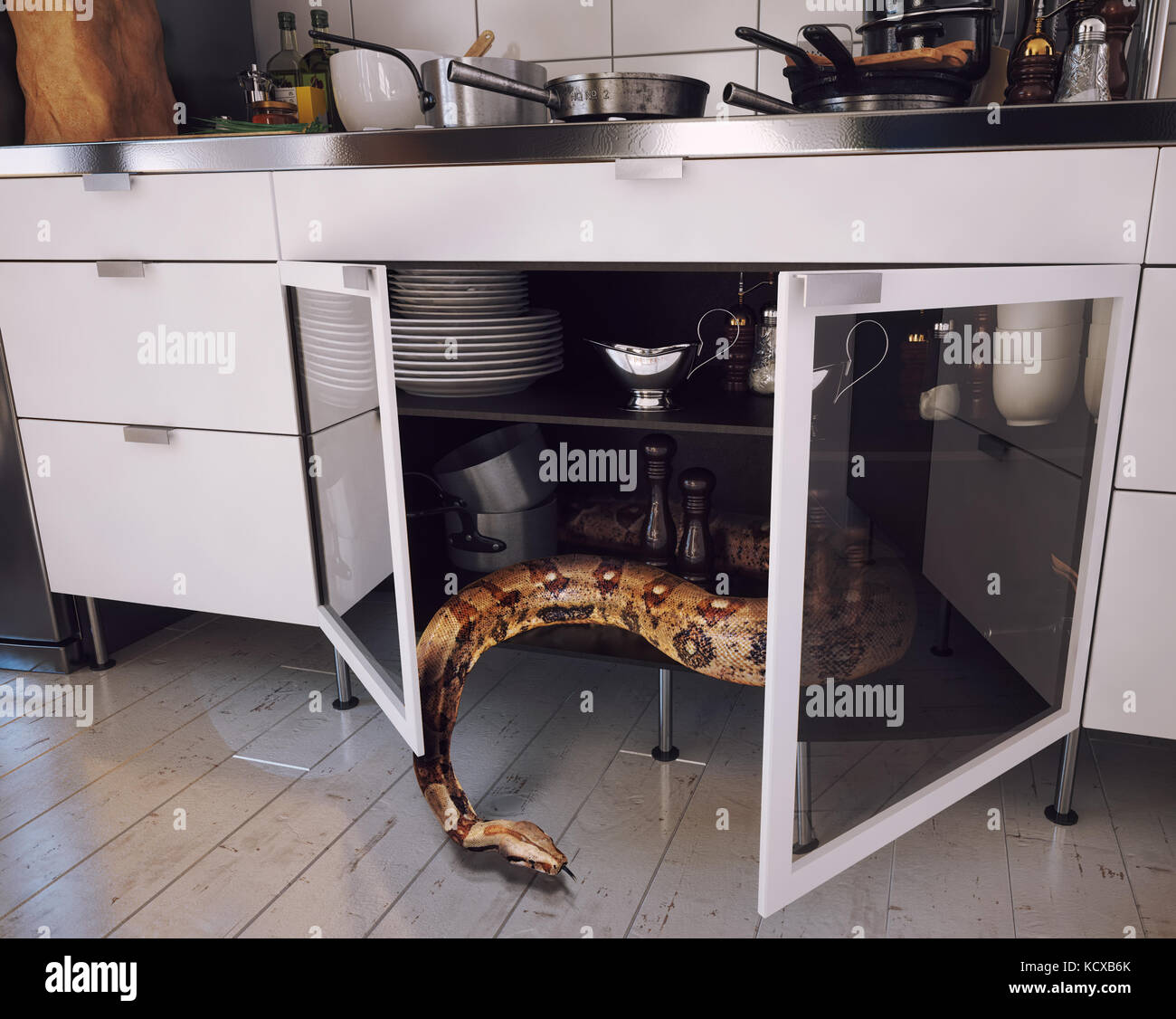 Il serpente si nascose in cucina Foto Stock