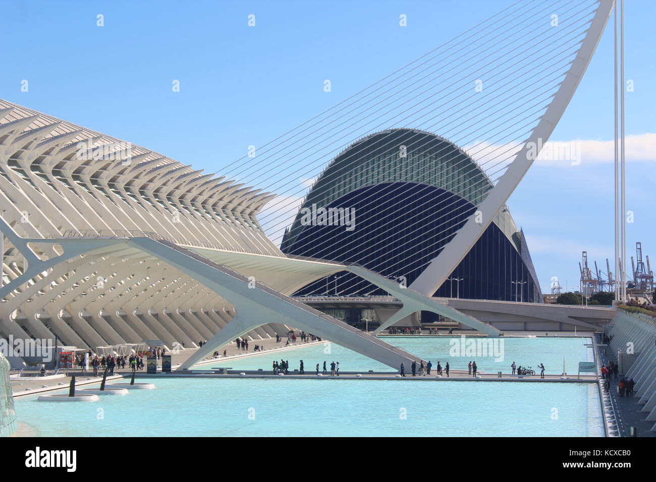 Ciudad de las artes y las Ciencias. Il parco della scienza di Valencia, progettato da calatrava. Foto Stock