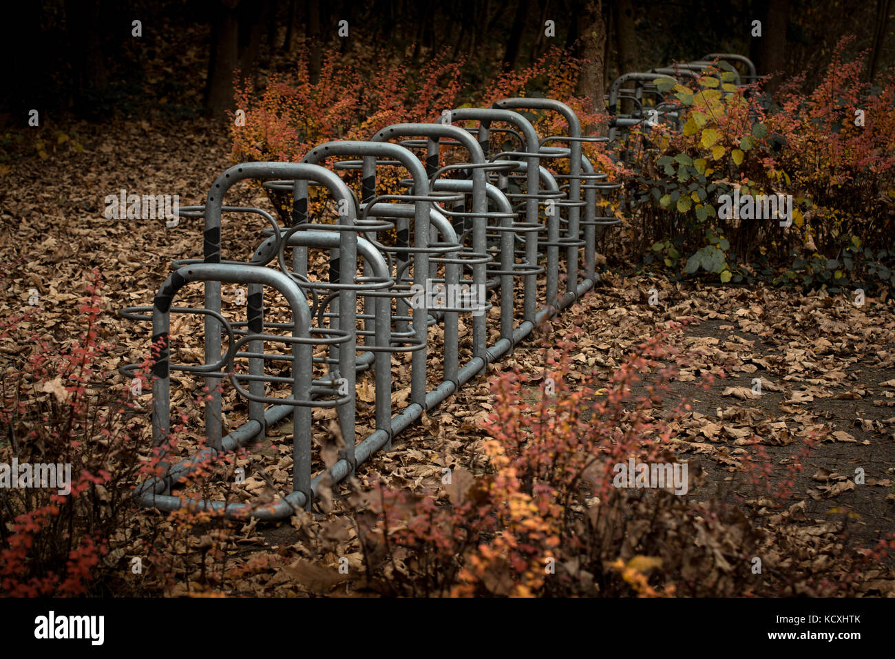 Bicicletta vuote sorge nella collezione autunno Foto Stock