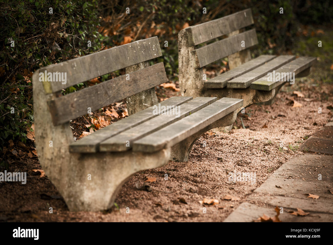 Due vecchie panchine in una fredda giornata autunnale Foto Stock