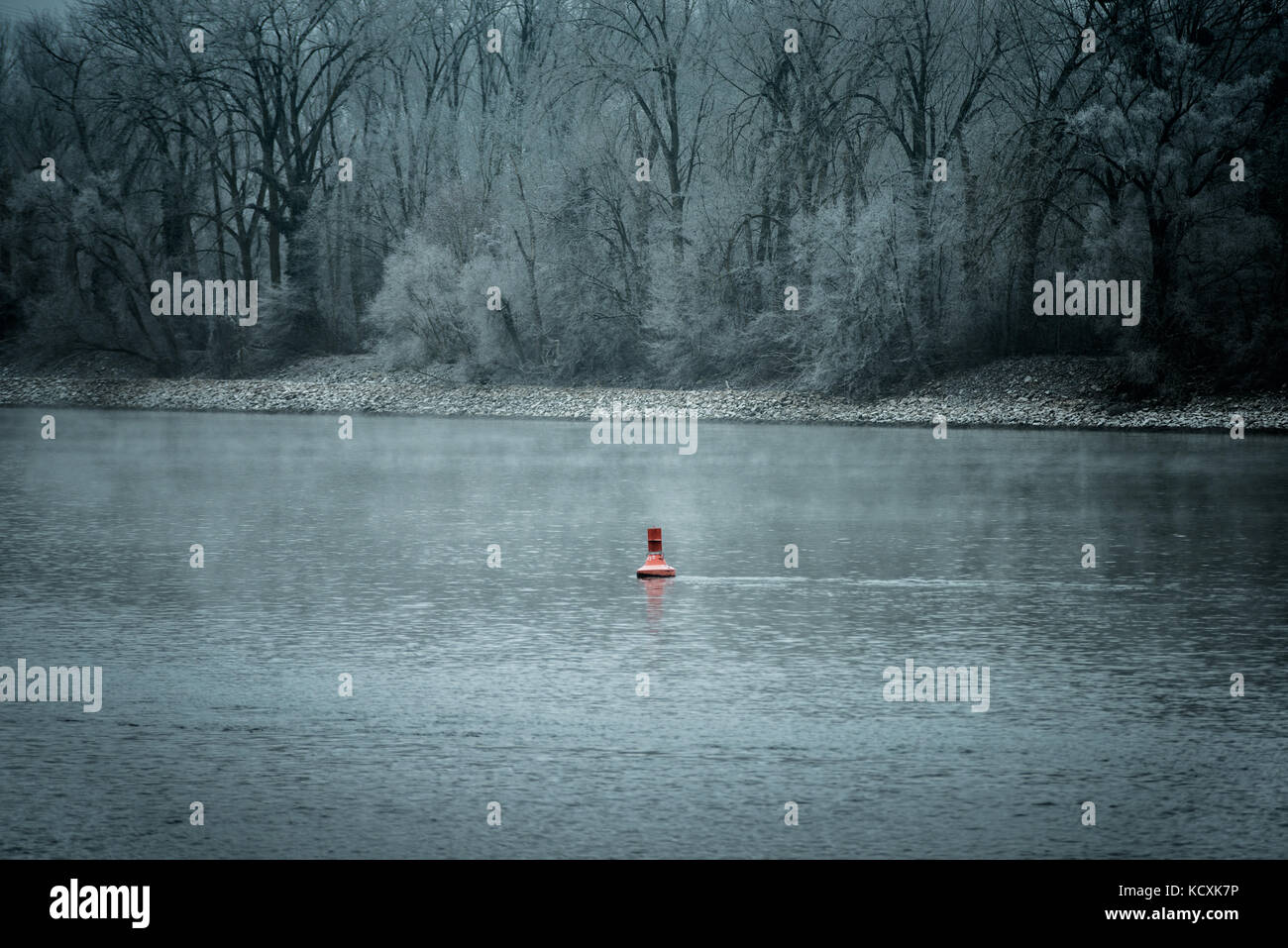 La boa sulle rive di un fiume in una fredda giornata invernale nebbia alberi nebbia neve Foto Stock