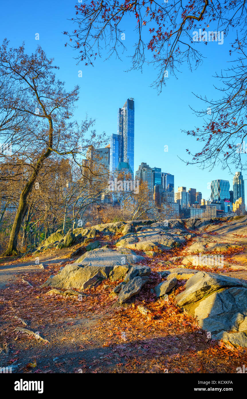 Central Park in autunno mattina Foto Stock