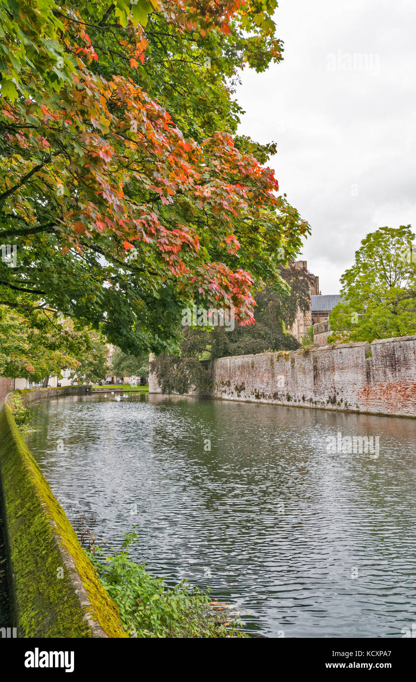 Città wells somerset Inghilterra palazzo dei vescovi di pareti e fossato fuori le mura con autunnale di sicomoro e foglie rosse Foto Stock