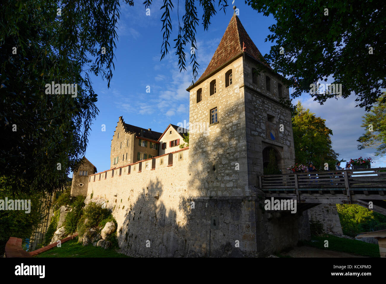 Castello Schloss Laufen, Laufen-Uhwiesen, , Zurigo, Svizzera Foto Stock