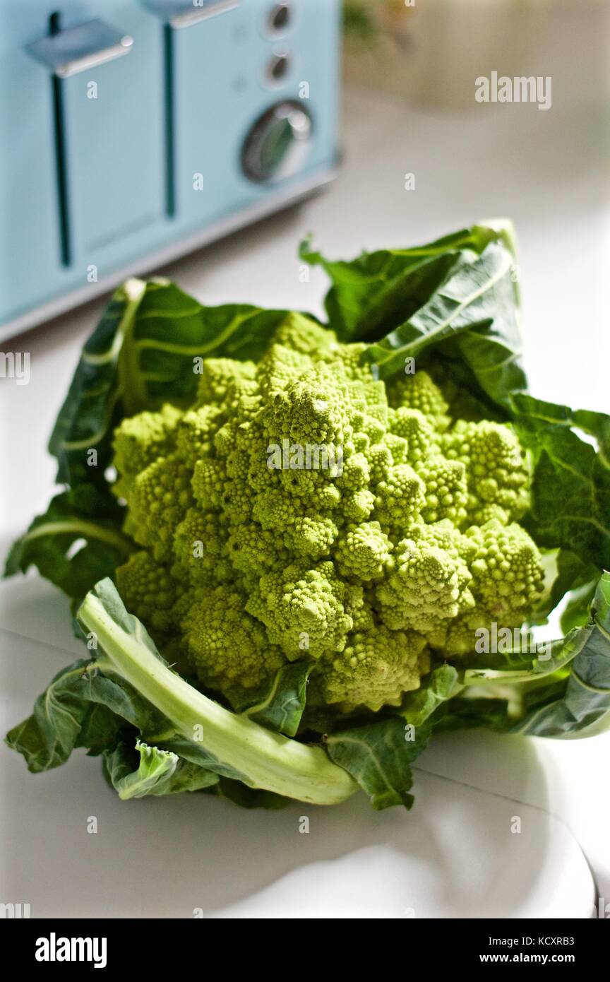 Romanesco broccoli in cucina Foto Stock