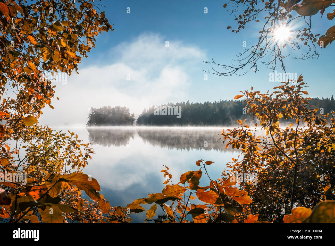 Vista panoramica con i colori dell'autunno e tranquillo lago in autunno la mattina in liesjärvi national park, Finlandia Foto Stock