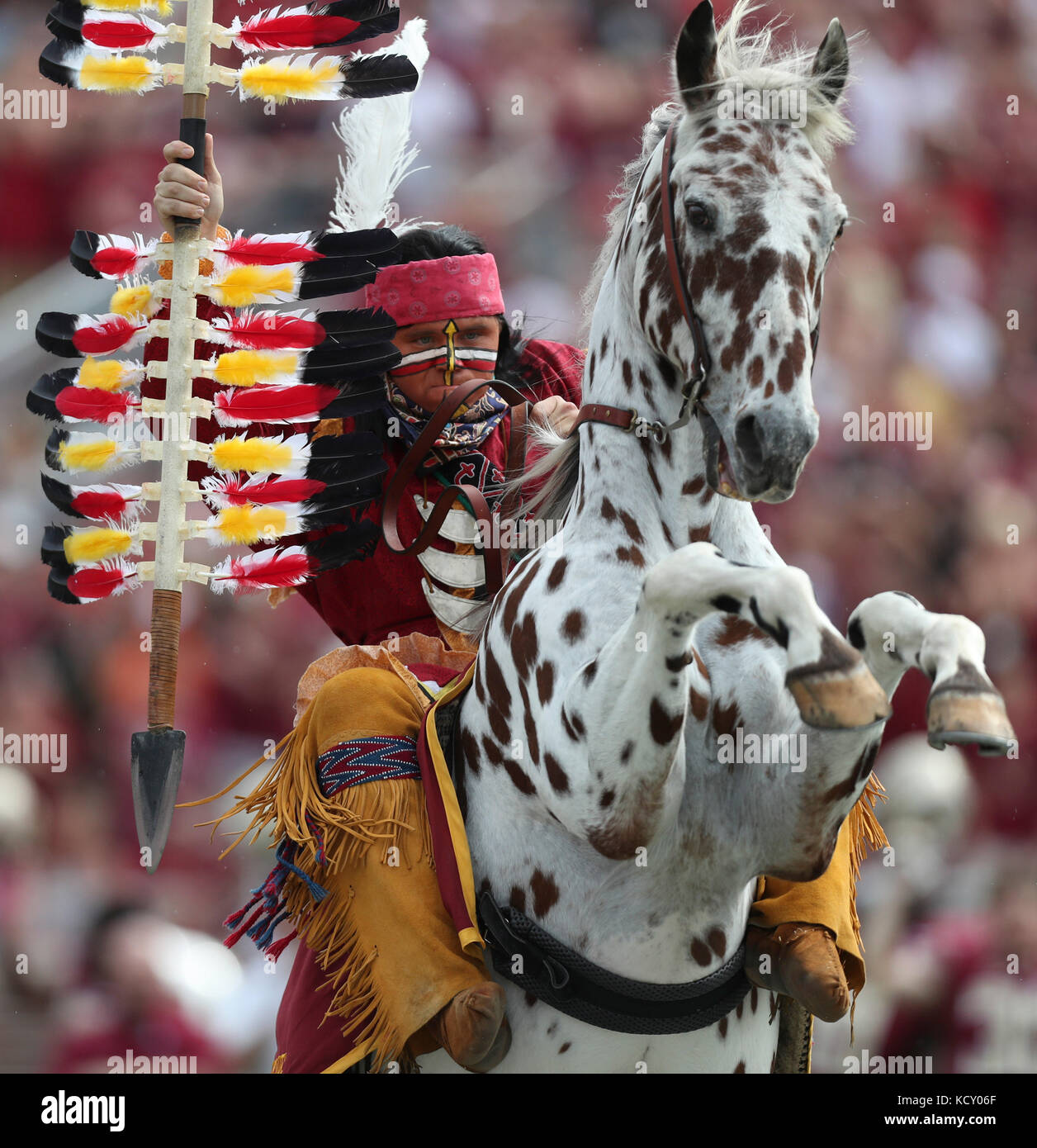 Tallahassee, Florida, Stati Uniti d'America. Il 7 ottobre, 2017. MONICA HERNDON | Orari.Osceola piante lancia prima di stato della Florida Seminoles giochi contro gli uragani di Miami il 7 ottobre 2017, a Doak Campbell Stadium di Tallahassee, Florida Credit: Monica Herndon/Tampa Bay volte/ZUMA filo/Alamy Live News Foto Stock