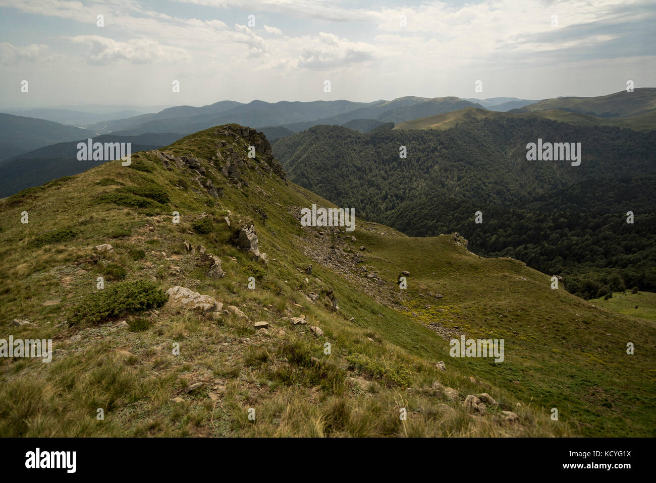 Gruppo di amanti della montagna di escursioni grohotis la gamma della montagna su sentieri non marcati e attraverso una foresta, parte di profondo deserto. Foto Stock