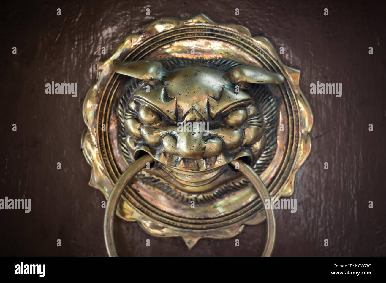 Testa porta respingente Foto Stock