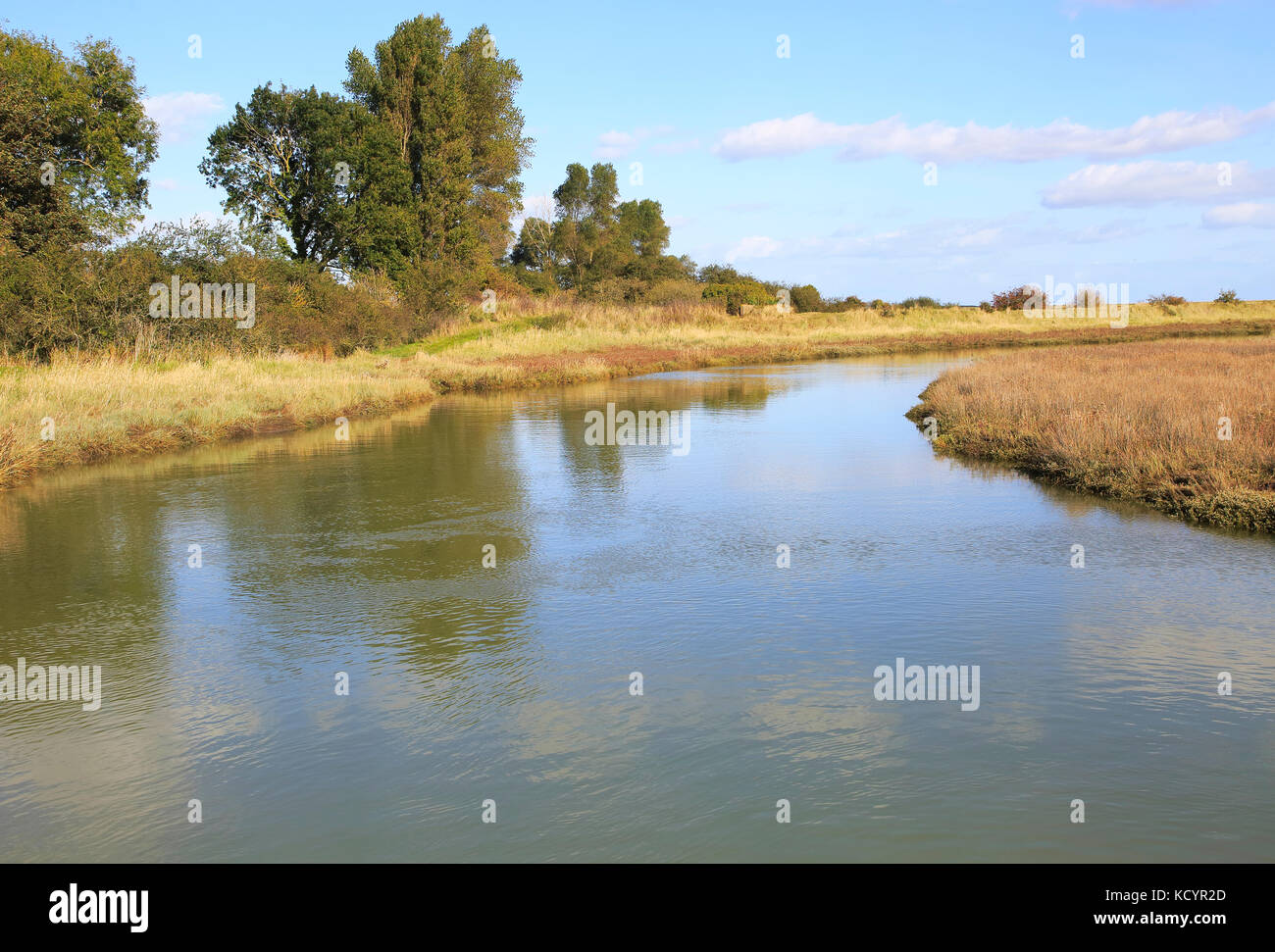 Paesaggio di alta marea Barthorp's Creek, Hollesley Bay, vicino alla strada di ciottoli, Suffolk, Inghilterra, Regno Unito Foto Stock