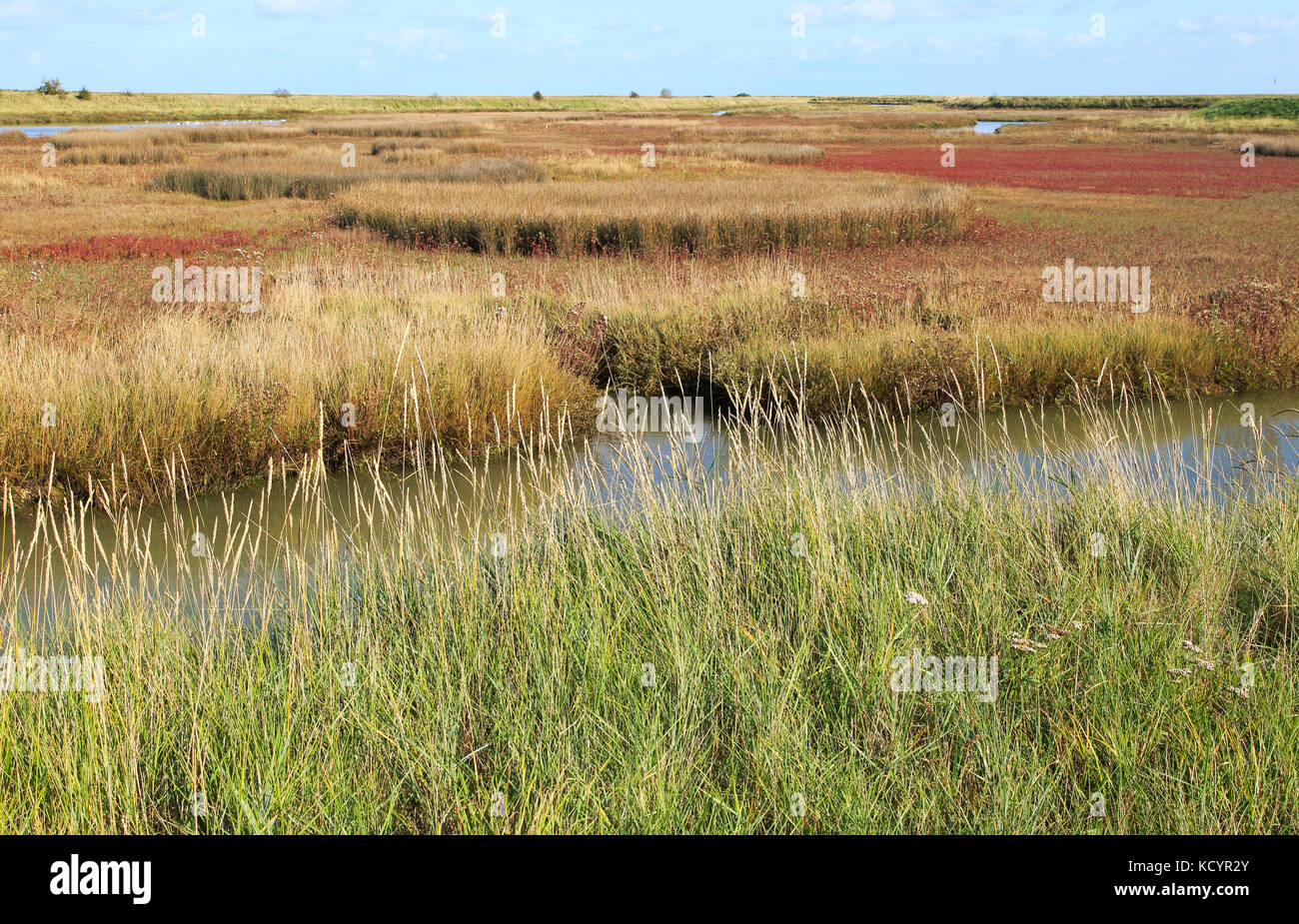 Paesaggio di alta marea Barthorp's Creek, Hollesley Bay, vicino alla strada di ciottoli, Suffolk, Inghilterra, Regno Unito Foto Stock