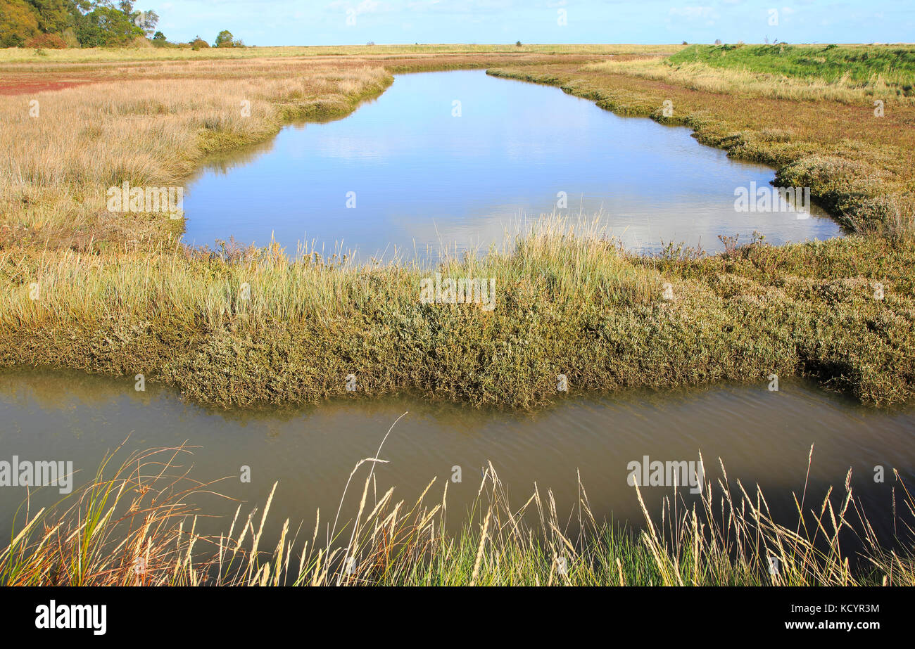 Paesaggio di alta marea Barthorp's Creek, Hollesley Bay, vicino alla strada di ciottoli, Suffolk, Inghilterra, Regno Unito Foto Stock