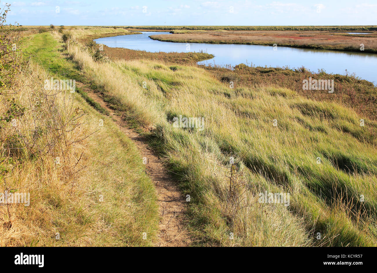 Paesaggio di alta marea Barthorp's Creek, Hollesley Bay, vicino alla strada di ciottoli, Suffolk, Inghilterra, Regno Unito Foto Stock