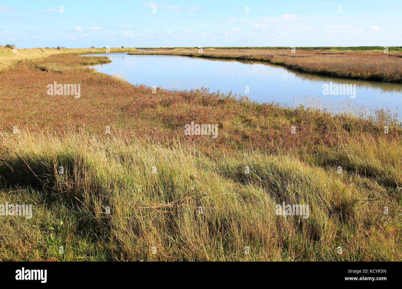Paesaggio di alta marea Barthorp's Creek, Hollesley Bay, vicino alla strada di ciottoli, Suffolk, Inghilterra, Regno Unito Foto Stock