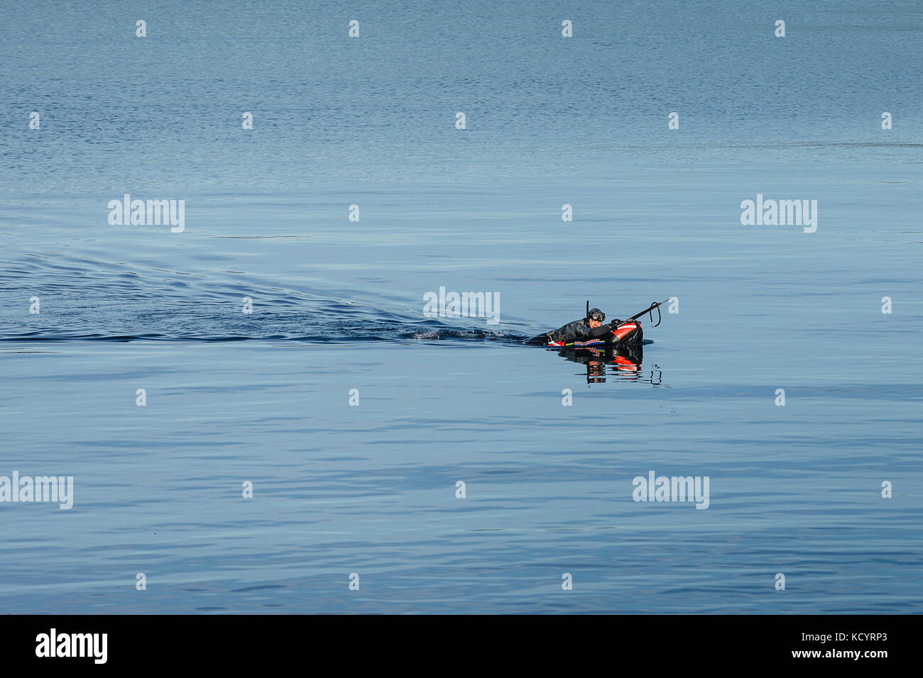 Fisher nuoto per pesci Foto Stock
