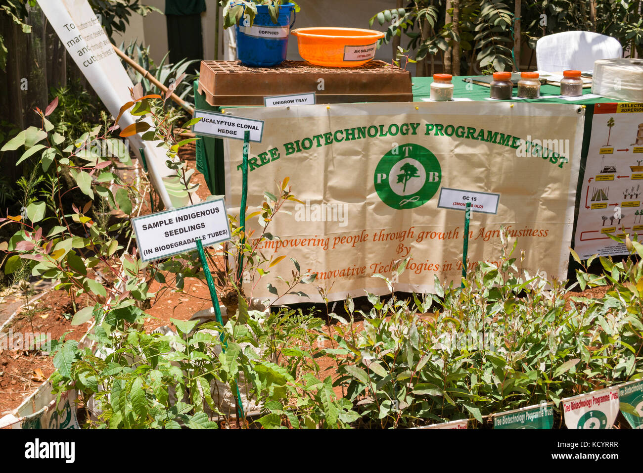 Struttura del programma di biotecnologia fiducia display, Nairobi Fiera Internazionale, Kenya Foto Stock