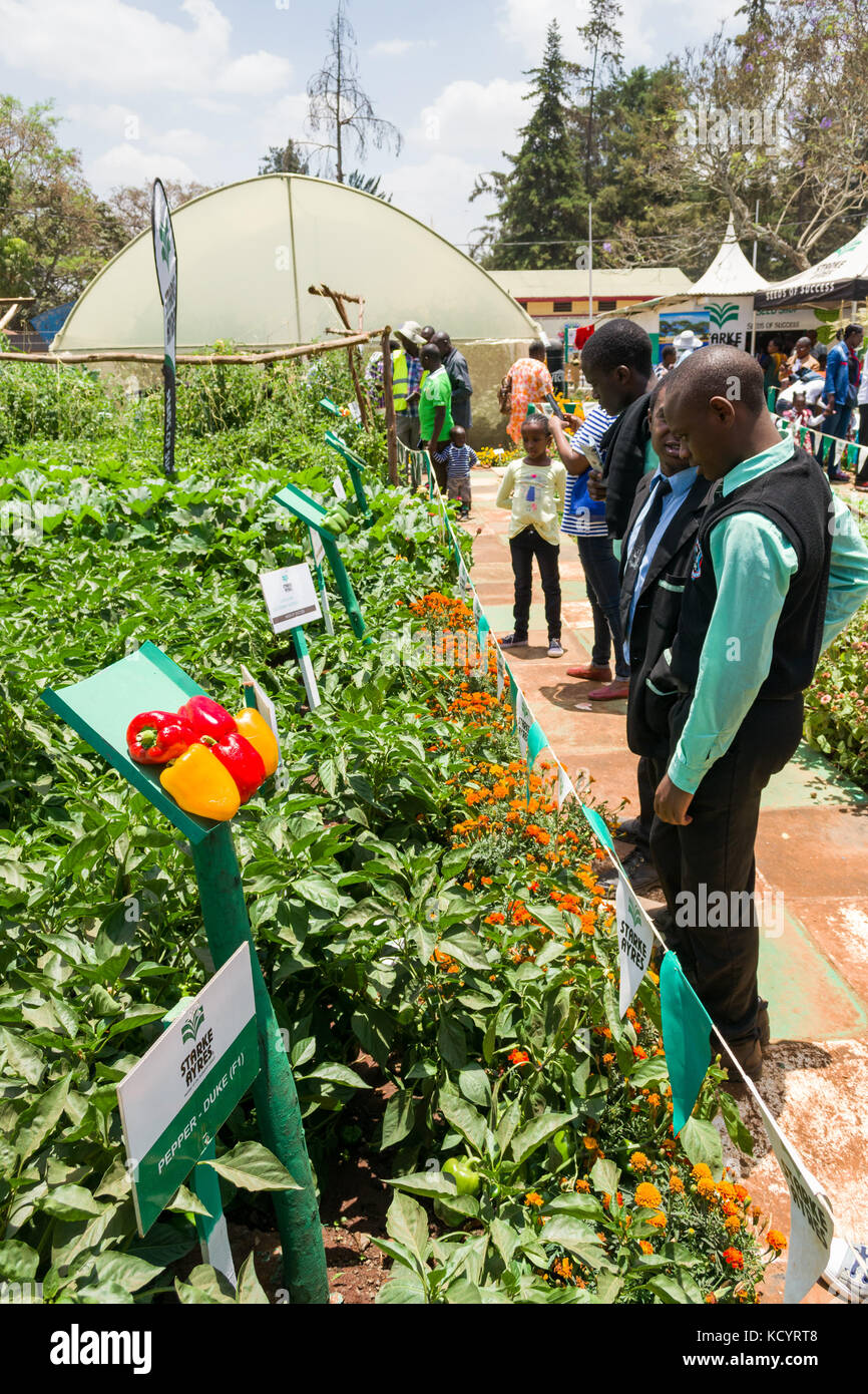 Starke Ayres agricoltura alimentare manifestano con persone, Nairobi Fiera Internazionale, Kenya Foto Stock