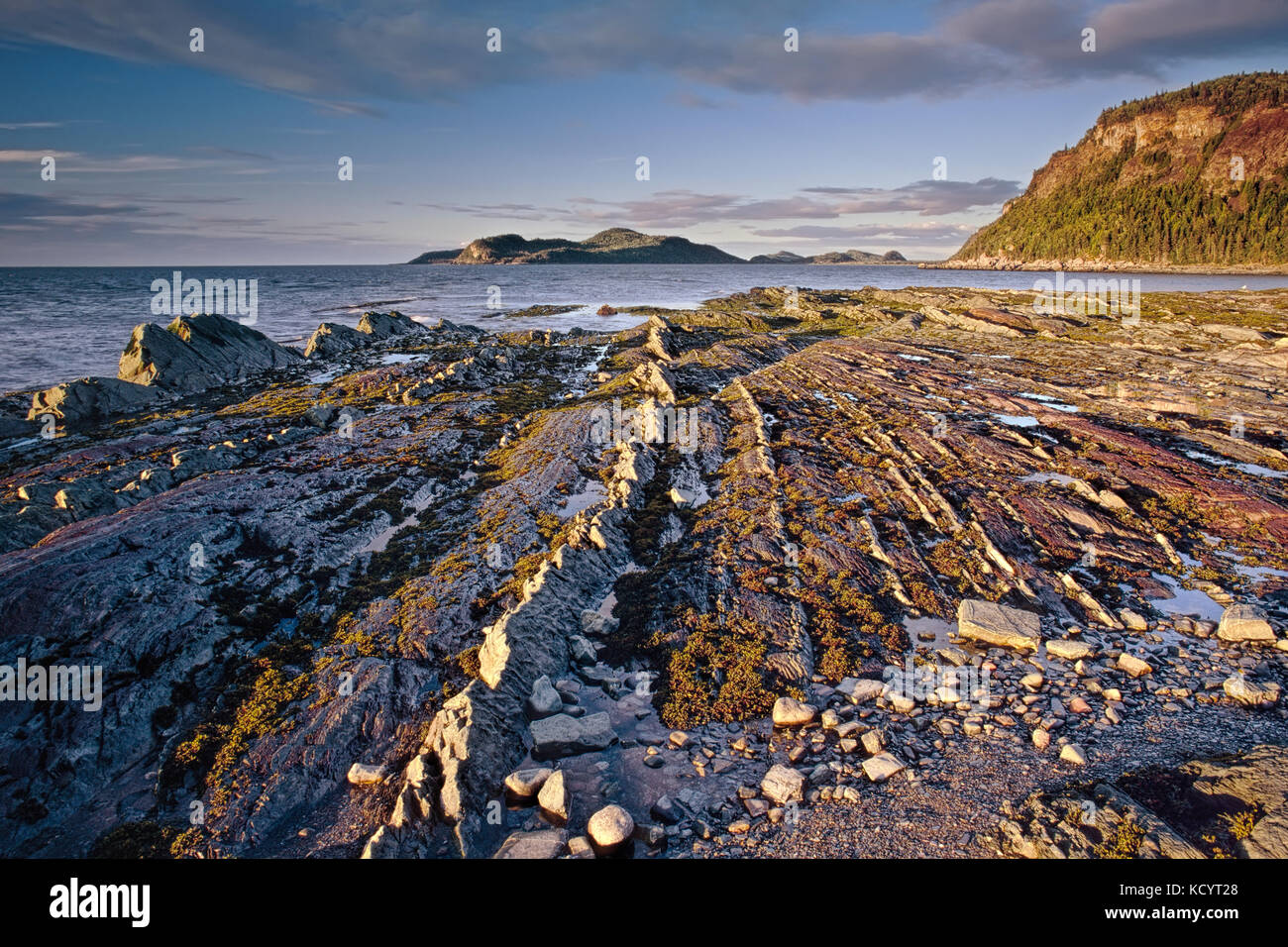 Gli strati di roccia con la bassa marea nel Bic National Park, inferiore regione Saint-Lawrence, Québec, Canada Foto Stock