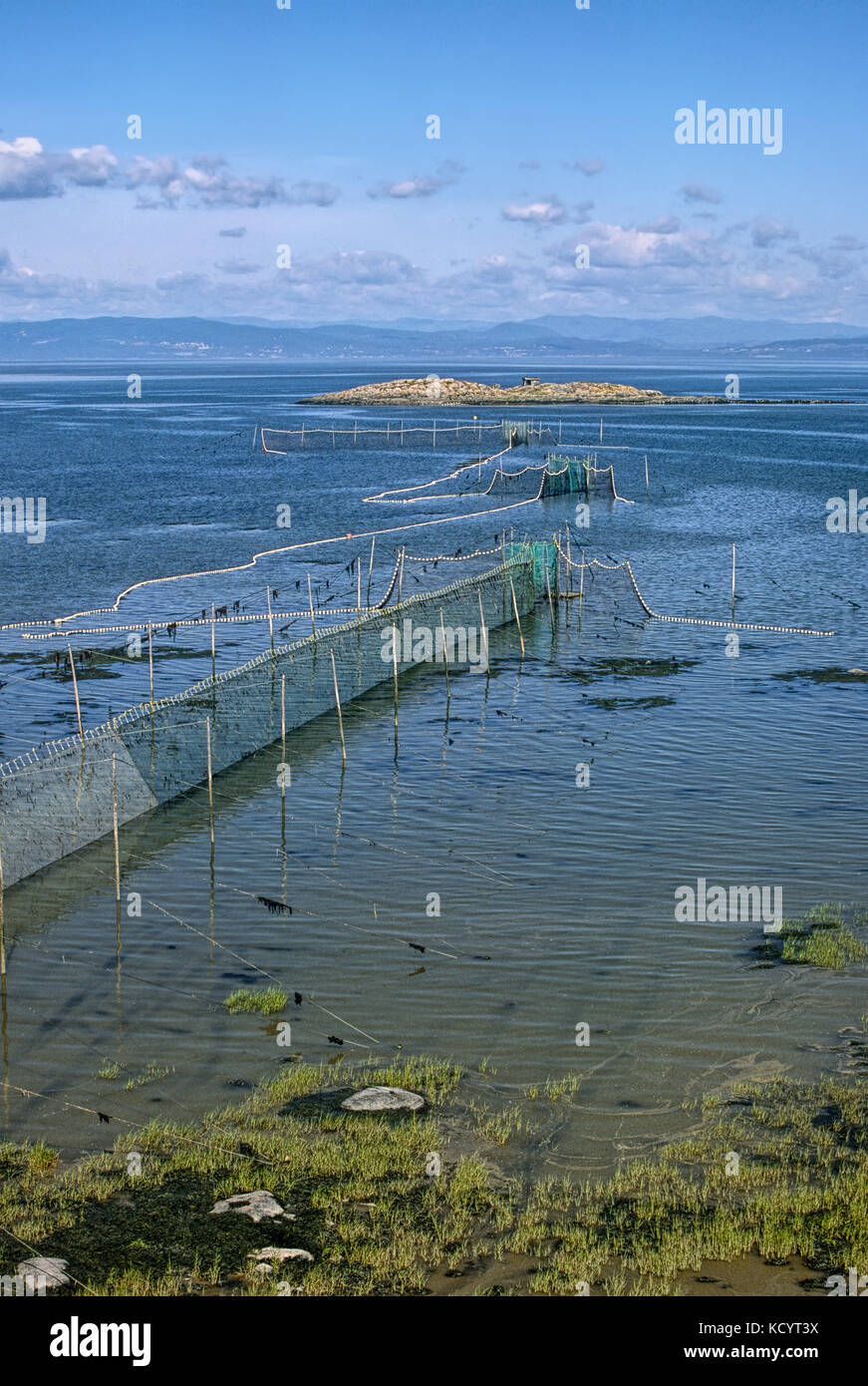 Fissati sbarramenti di marea per la cattura di anguille in Saint Lawrence estuario del fiume, Kamouraska, Québec, Canada Foto Stock