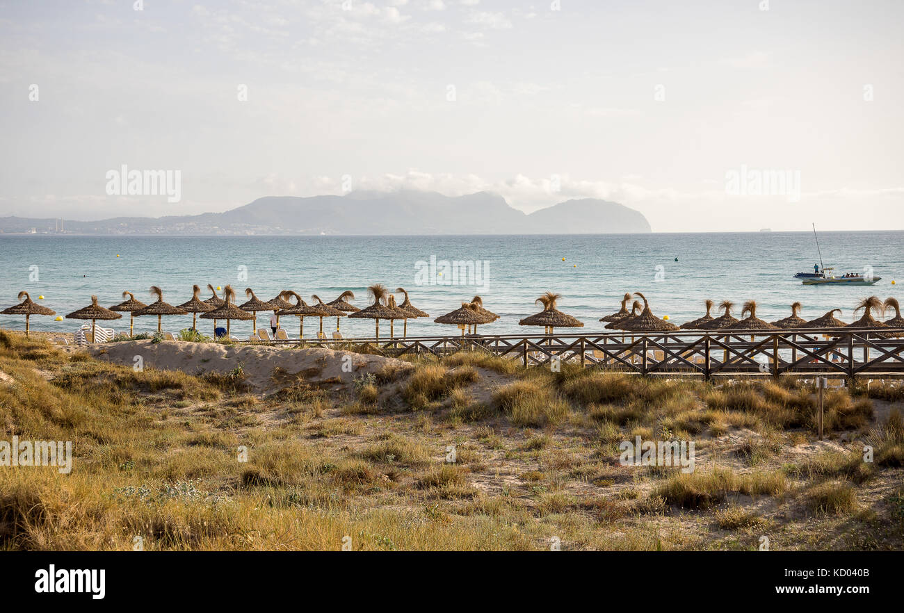 Una vista della baia di Alcudia da Can Picafort nelle prime ore del mattino, Mallorca Foto Stock