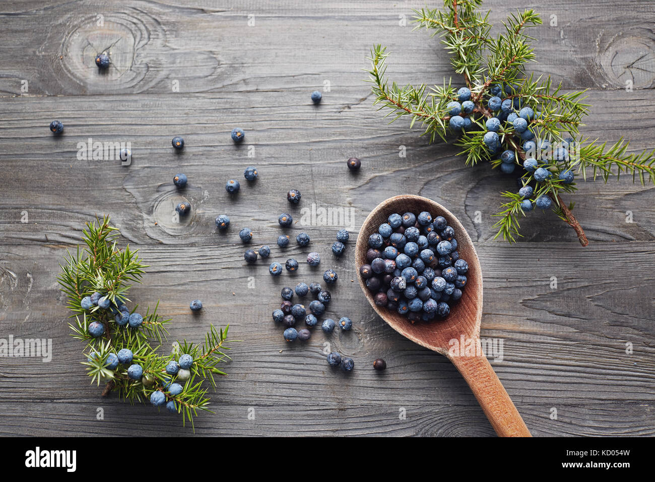 Cucchiaio di legno con semi di ginepro. Filiale di Juniper con bacche. Foto Stock