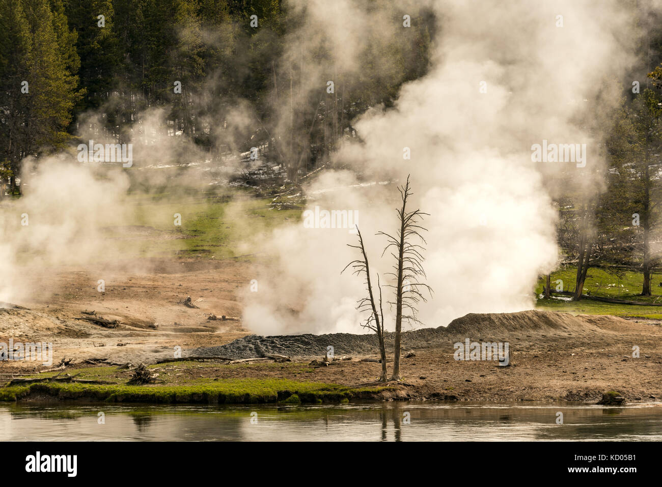 Parco Nazionale di Yellowstone, Wyoming USA Foto Stock