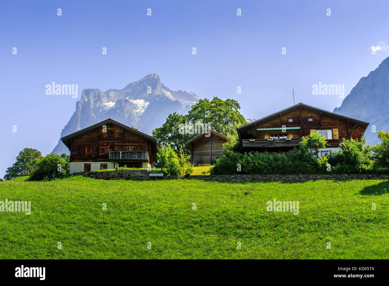 Chalets in alpi su un luminoso giorno d'estate. Grindelwald, Oberland bernese, Svizzera Foto Stock