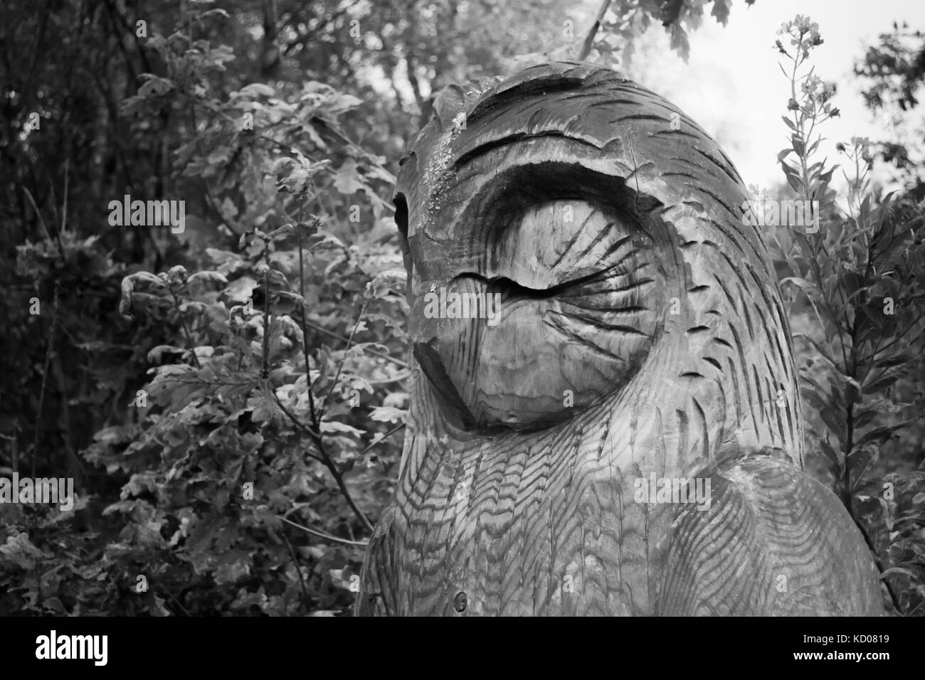 Scultura in legno di un vecchio saggio gufo in bianco e nero si trova nel Regno Unito. Foto Stock