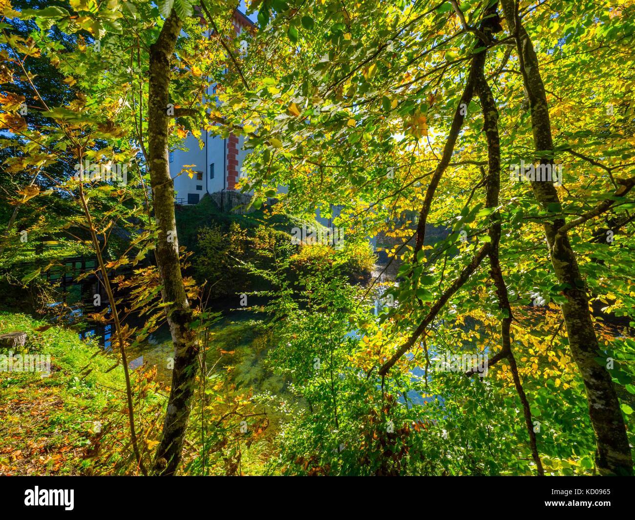 La natura in autunno e il castello di Sneznik in Slovenia Foto Stock
