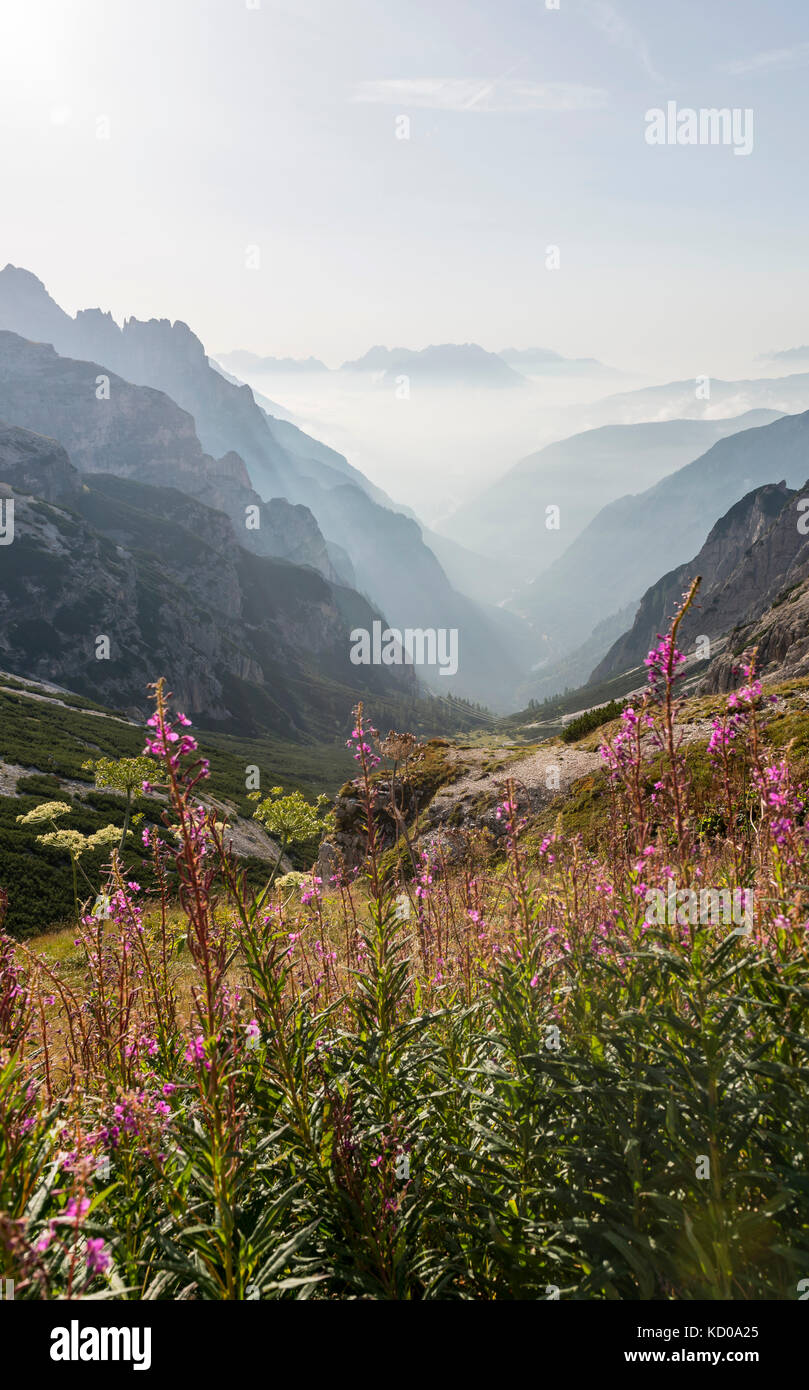 Vista nella valle, Dolomiti di Sesto, alto adige, trentino-alto adige, alto adige, italia Foto Stock