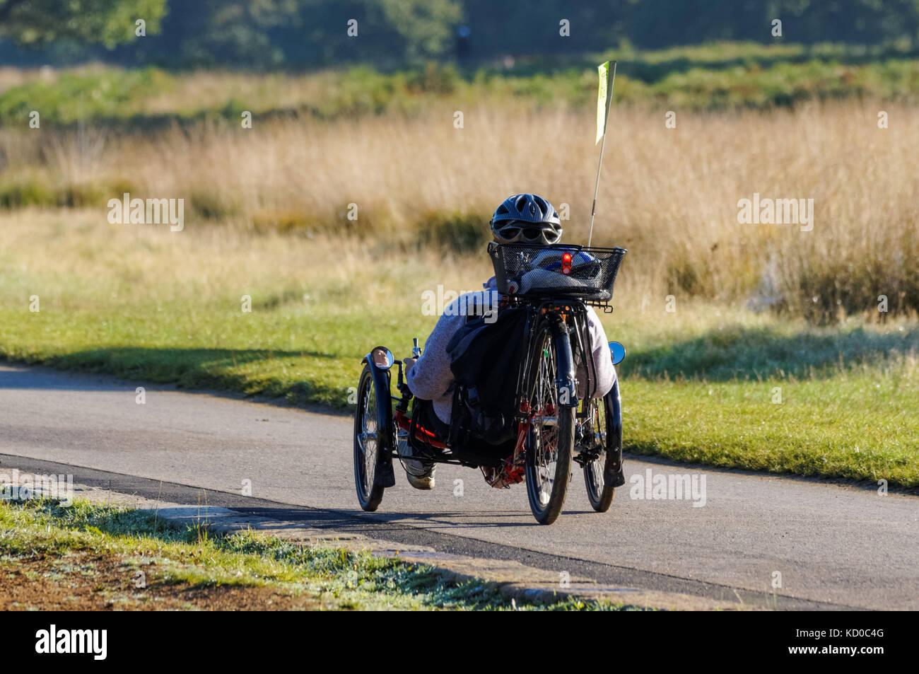 Un uomo su un triciclo recumbent in Richmond Park, Londra England Regno Unito Regno Unito Foto Stock