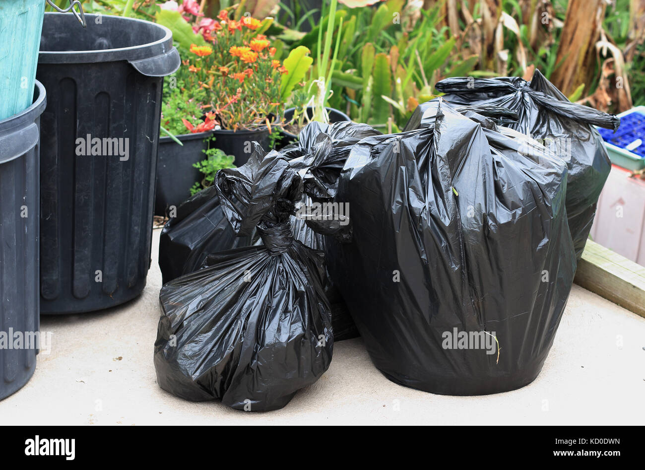 Sacchetti di rifiuti domestici pronto per essere buttato fuori Foto Stock