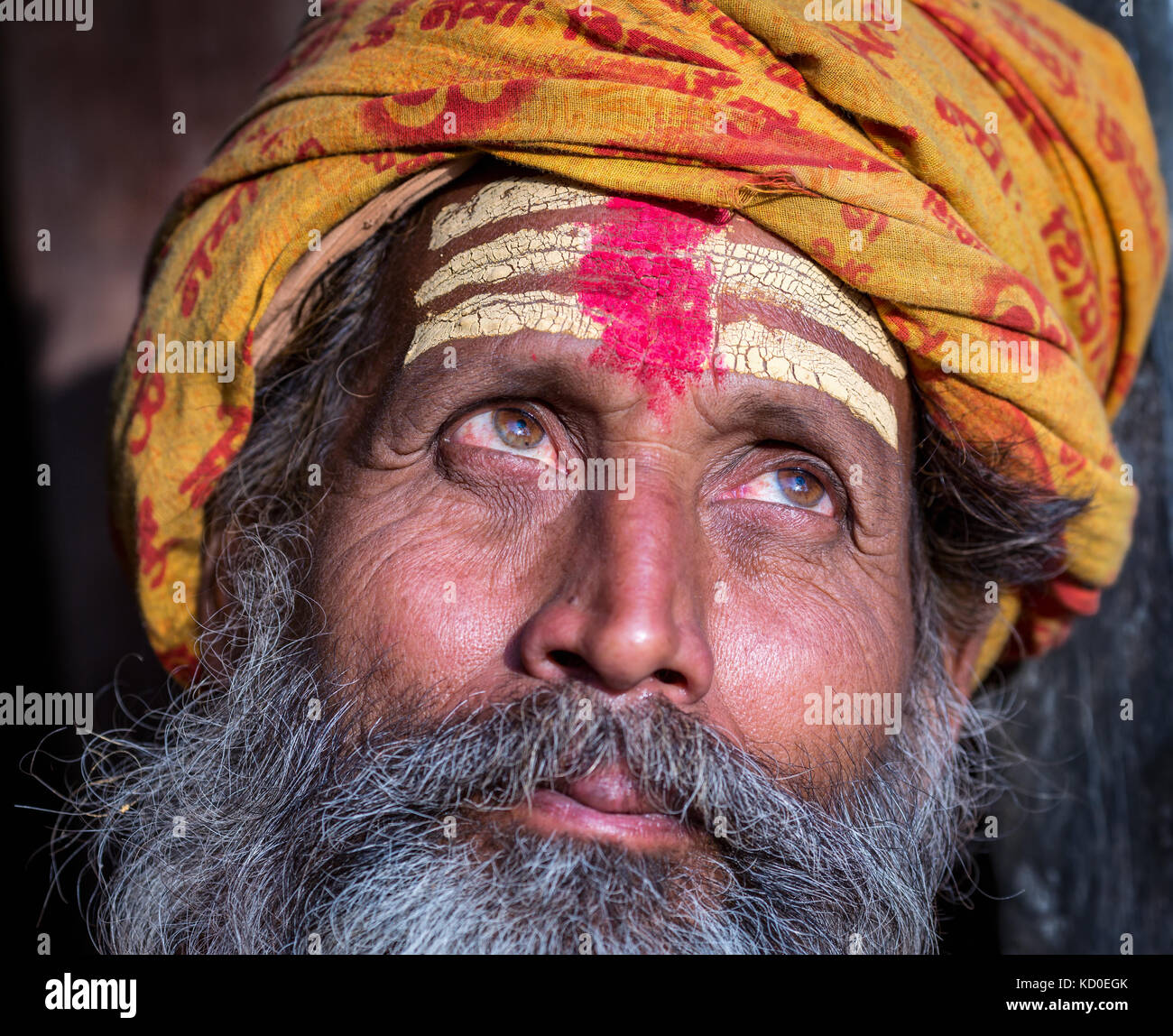 Close-up verticale di un anziano Sadhu, Tempio di Pashupatinath, Kathmandu, Nepal Foto Stock