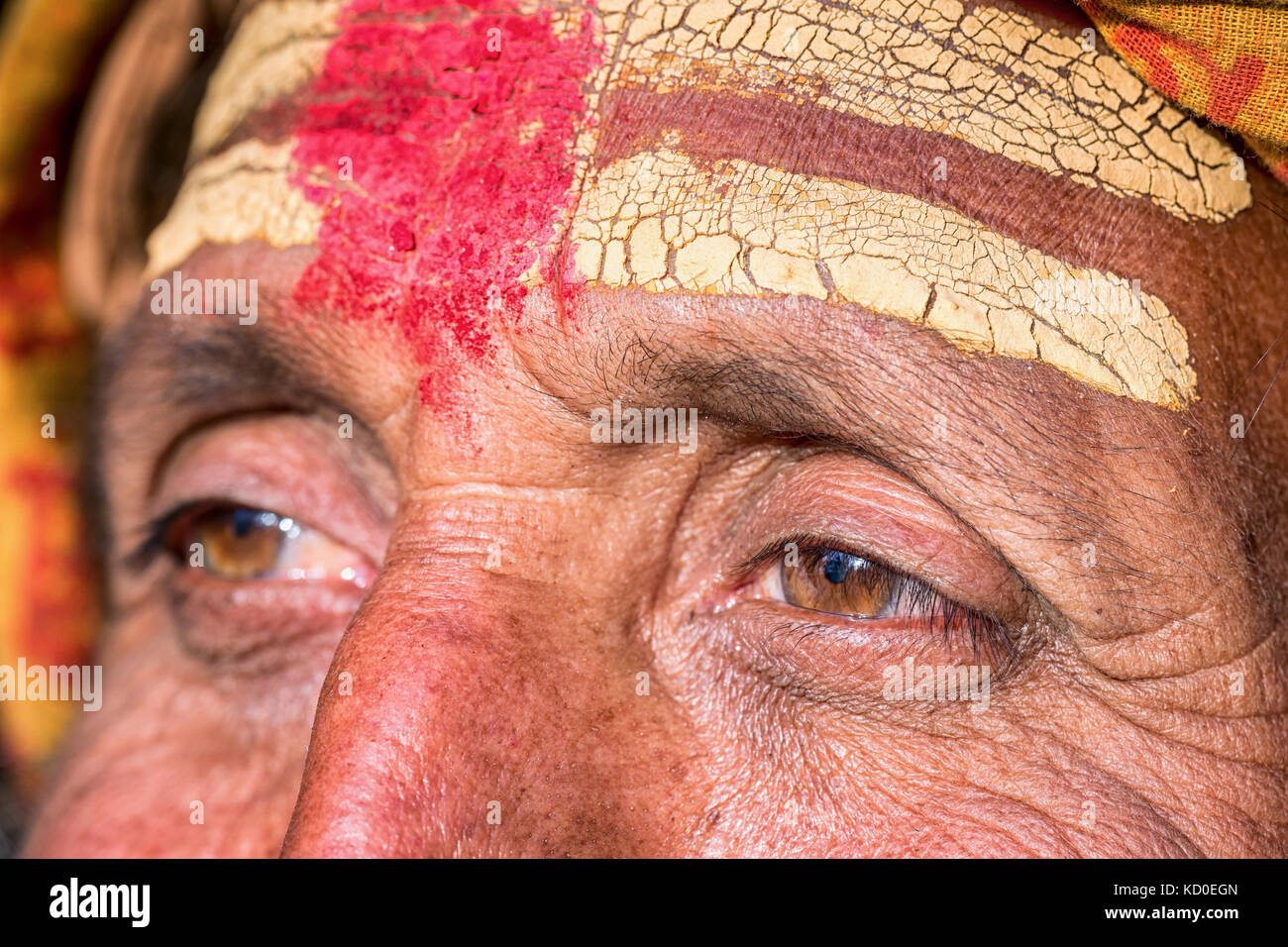 Close-up verticale di un anziano Sadhu, Tempio di Pashupatinath, Kathmandu, Nepal Foto Stock