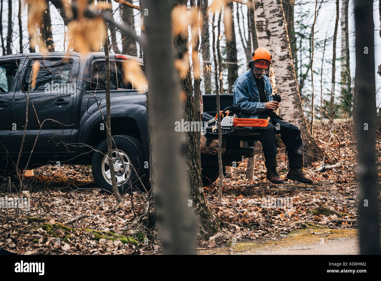 Logger maschile seduto sul pick-up truck azienda guanti protettivi nella foresta di autunno Foto Stock