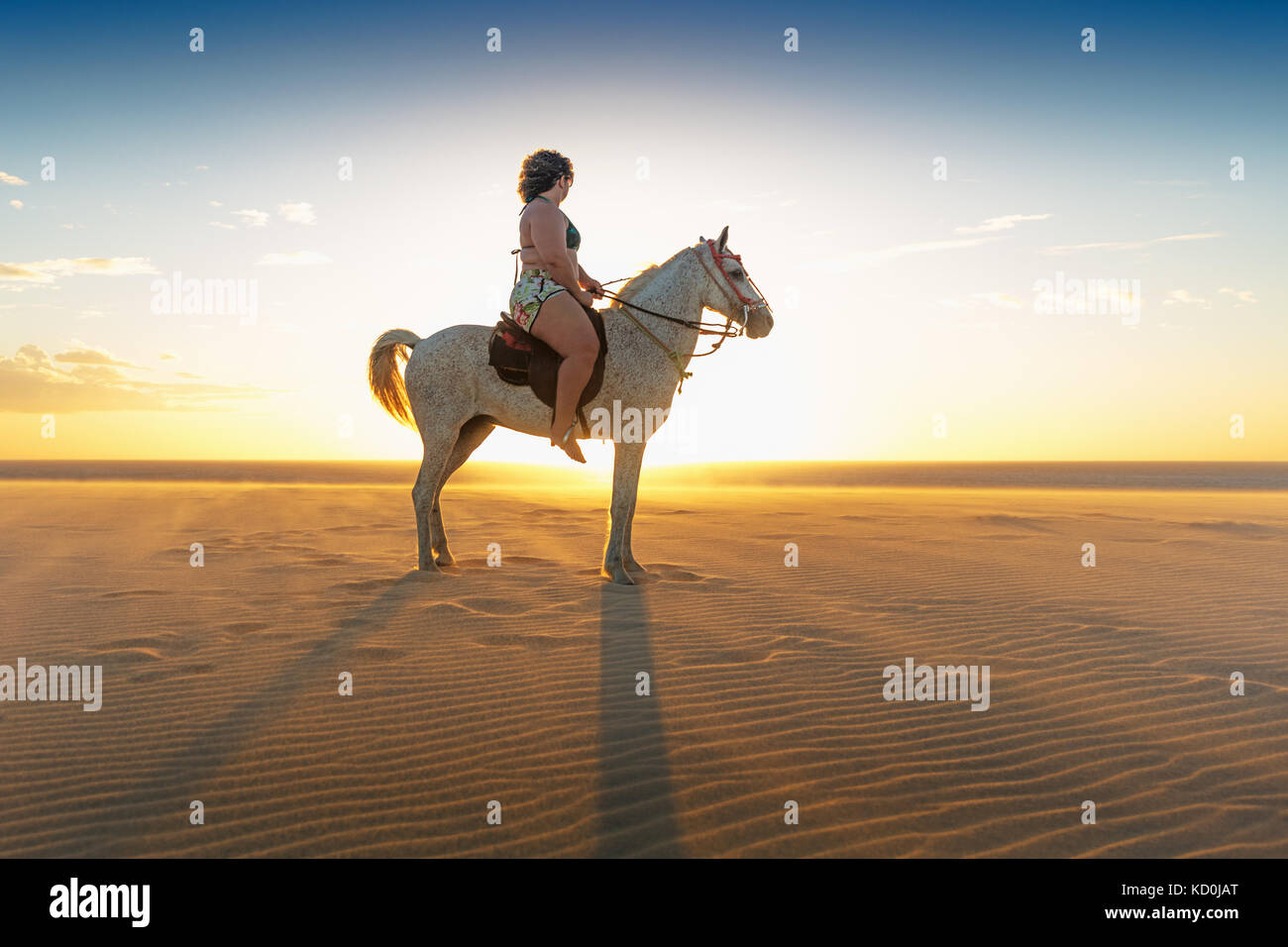 La donna a cavallo sulla spiaggia, vista laterale, Jericoacoara, Ceara, Brasile, Sud America Foto Stock