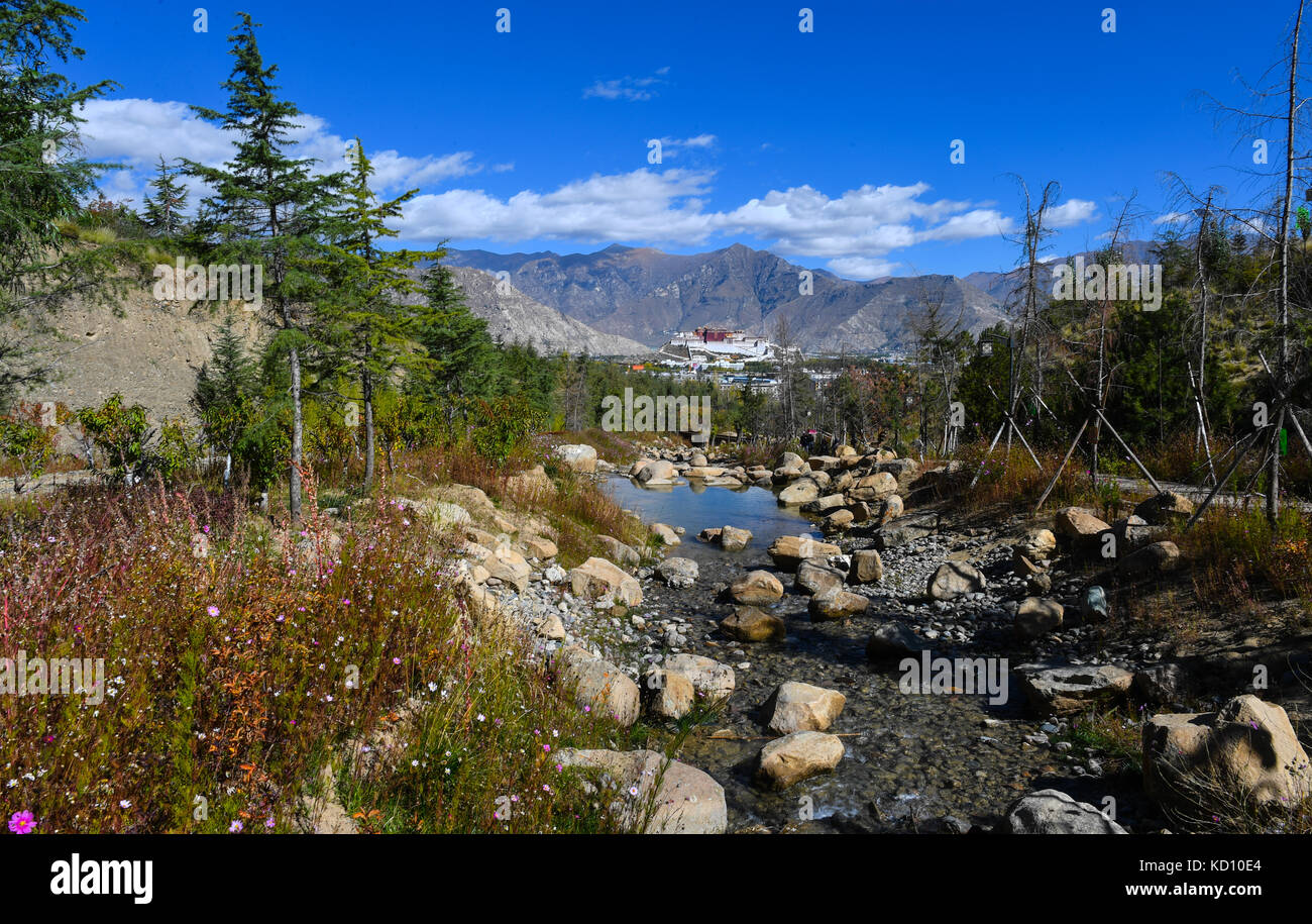 Lhasa. 8 ottobre 2017. La foto scattata l'8 ottobre 2017 mostra il paesaggio nel Parco Nanshan vicino al Palazzo Potala a Lhasa, capitale della regione Autonoma del Tibet della Cina sud-occidentale. Crediti: Purbu Zhaxi/Xinhua/Alamy Live News Foto Stock